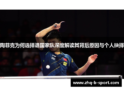 陶菲克为何选择退国家队深度解读其背后原因与个人抉择